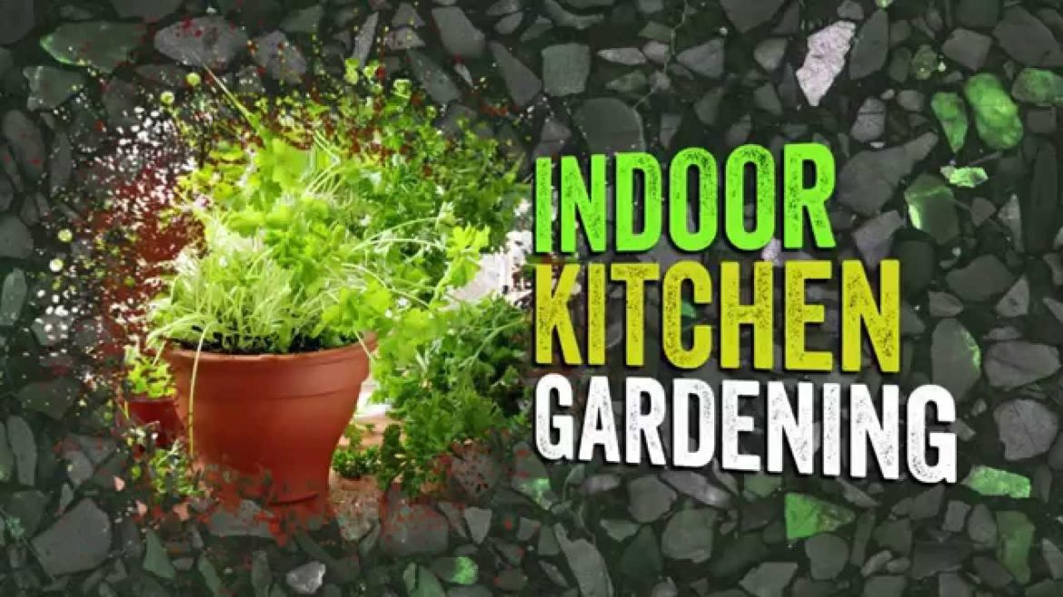 Indoor Kitchen Gardening – A Growing Trend Indoor Kitchen Gardening - A Growing Trend