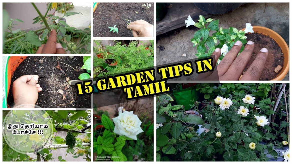 15 Gardening Useful tips ( தமிழ் )