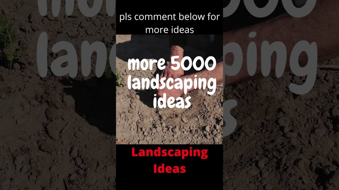 front lawn landscaping ideas – modern garden landscape design ideas 2021 – front yard landscaping front lawn landscaping ideas - modern garden landscape design ideas 2021 - front yard landscaping