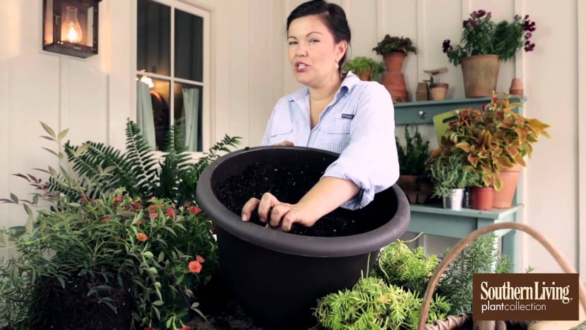 How to Plant a Container Garden for Your Front Porch How to Plant a Container Garden for Your Front Porch
