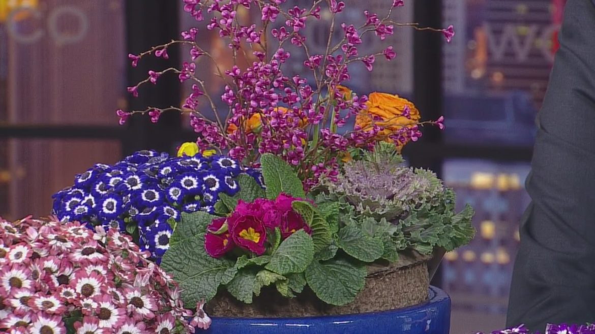 Outdoor Garden Trends For 2017