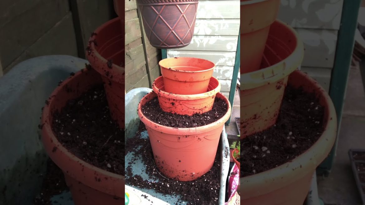 Gardening Tips | HOW TO MAKE A CASCADE PLANTER | Garden Ideas | Herbs | #short​​