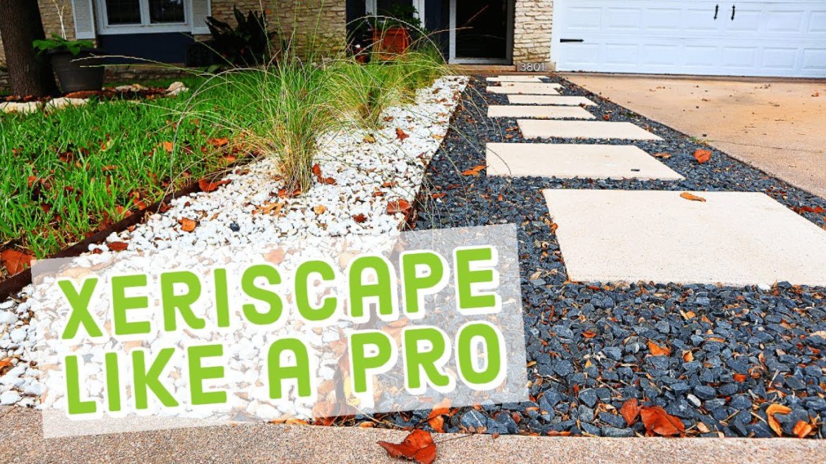 Xeriscape Made Easy – The ONLY Video You'll Need to Watch Xeriscape Made Easy - The ONLY Video You'll Need to Watch