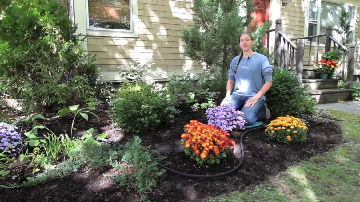 Landscape Snip-n-Drip Soaker System | Gardener's Supply