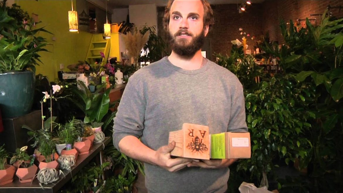 Trends from Brooklyn NYC Garden Centre “Sprout Home” Trends from Brooklyn NYC Garden Centre "Sprout Home"