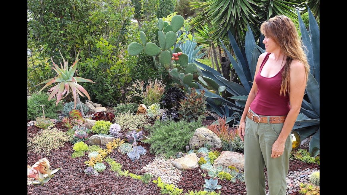 Laura Eubanks' Succulent Garden Design Secrets Laura Eubanks' Succulent Garden Design Secrets