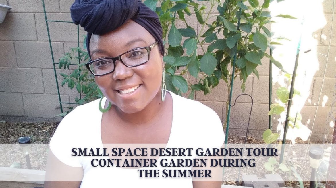 Small Space Desert Garden Tour - Container Garden During The Summer- May 22nd, 2022