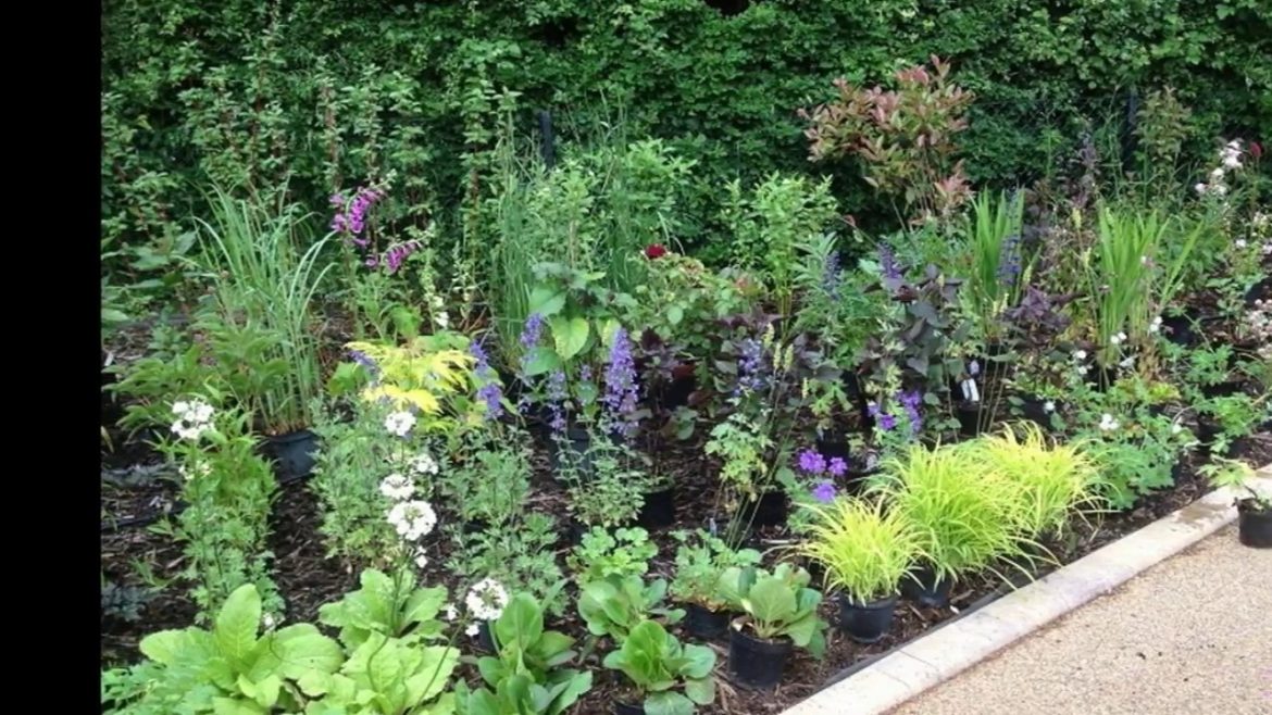 Beautiful 30+ Garden Design Planting Plans I Garden Design Plans Ideas Beautiful 30+ Garden Design Planting Plans I Garden Design Plans Ideas