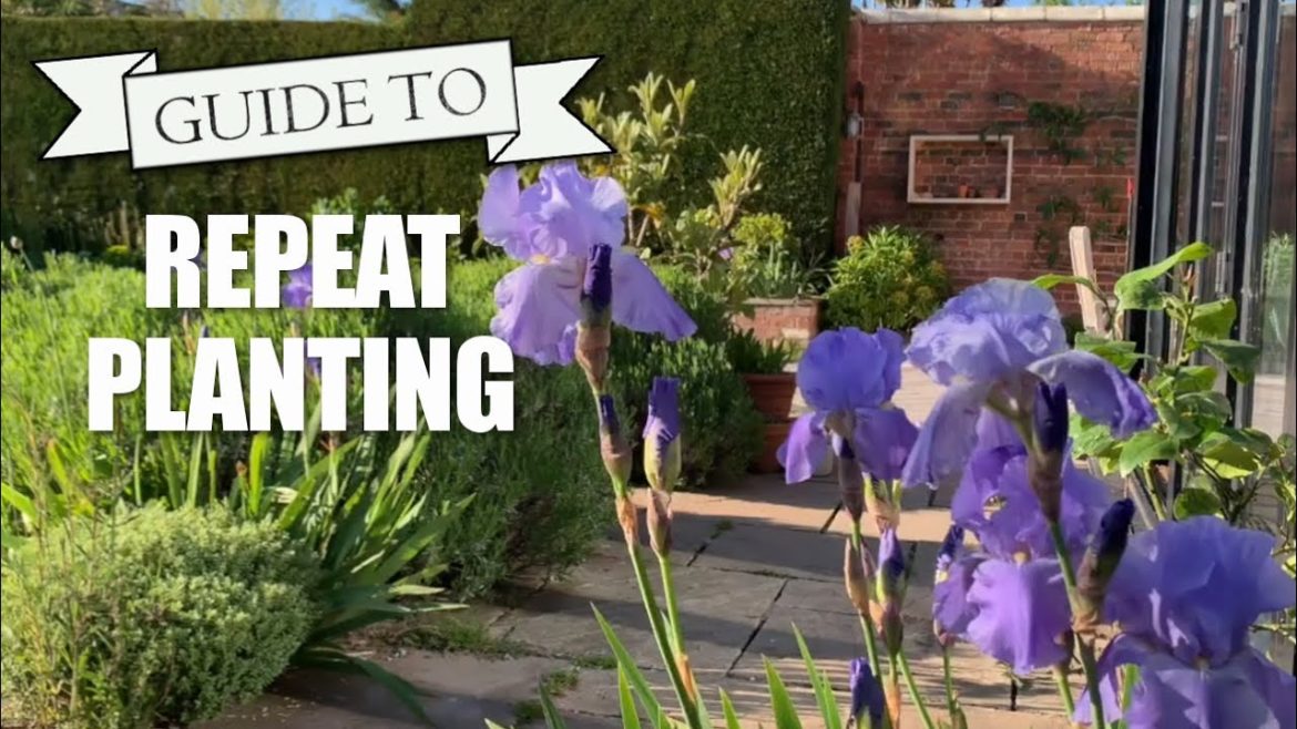 Repeat Planting in Garden Design