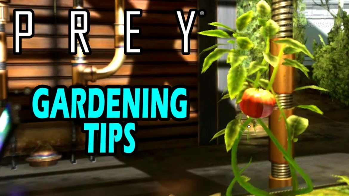 Prey – Side Mission – Gardening Tips Prey - Side Mission - Gardening Tips