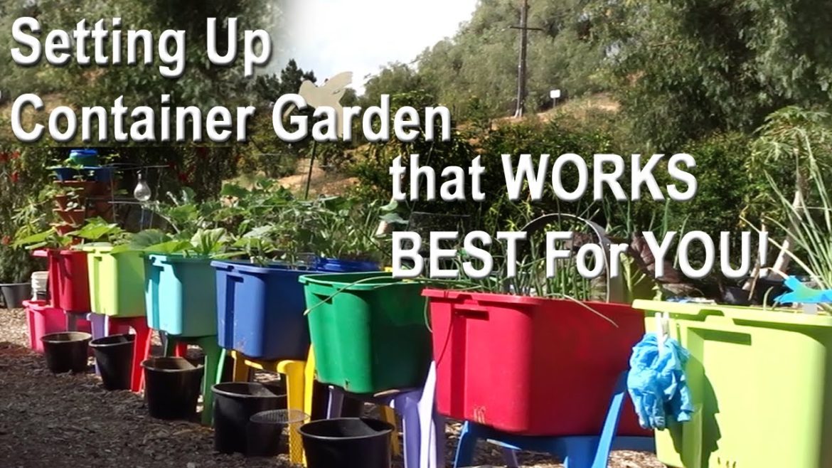 How to Setup a Container Garden that Works BEST For You To Grow Vegetables Easy In Totes or Buckets