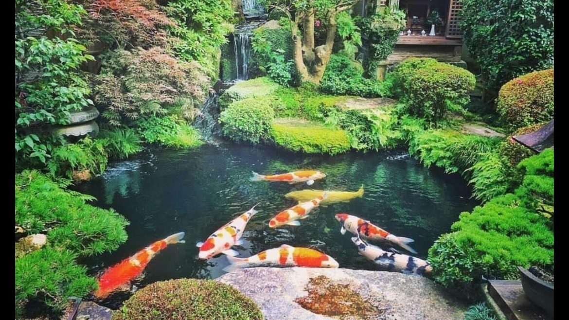 Top 5 Japanese Koi Pond Garden Design | Beautiful Koi Pond Ideas