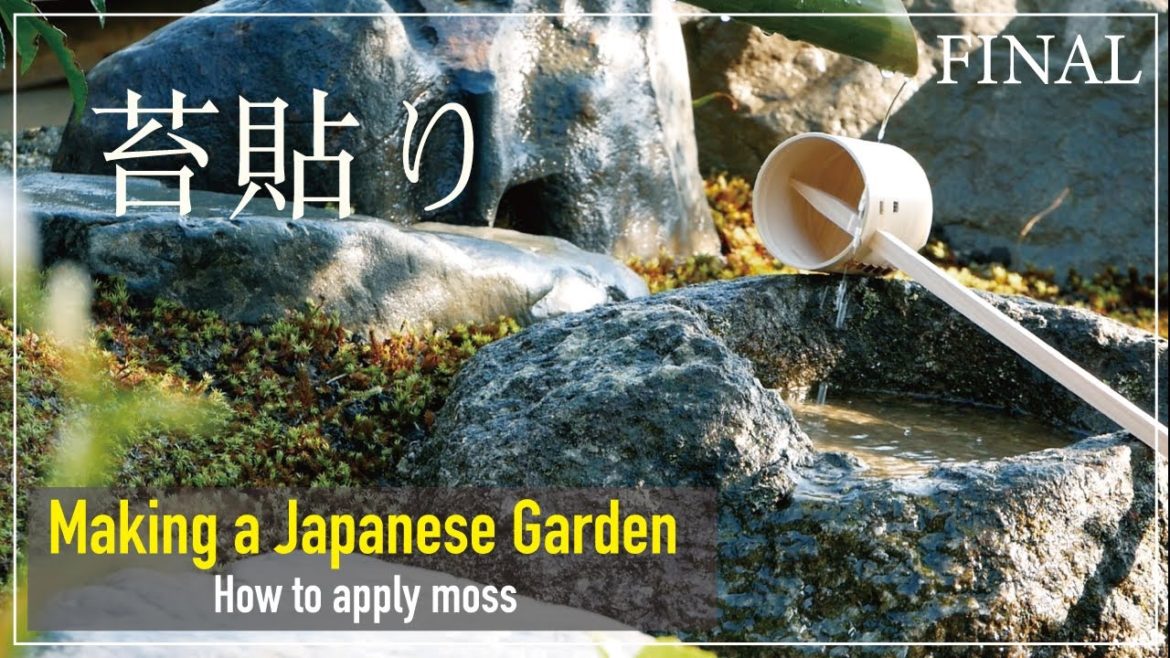 【Project.6 – Final】The final part of making a Japanese garden. How to apply moss 苔貼り 【Project.6 - Final】The final part of making a Japanese garden. How to apply moss 苔貼り
