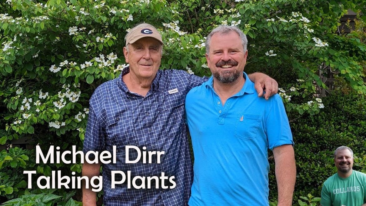 Garden Tour with Dr. Michael Dirr - Viburnum, Japanese Maples, Dogwoods, Redbuds