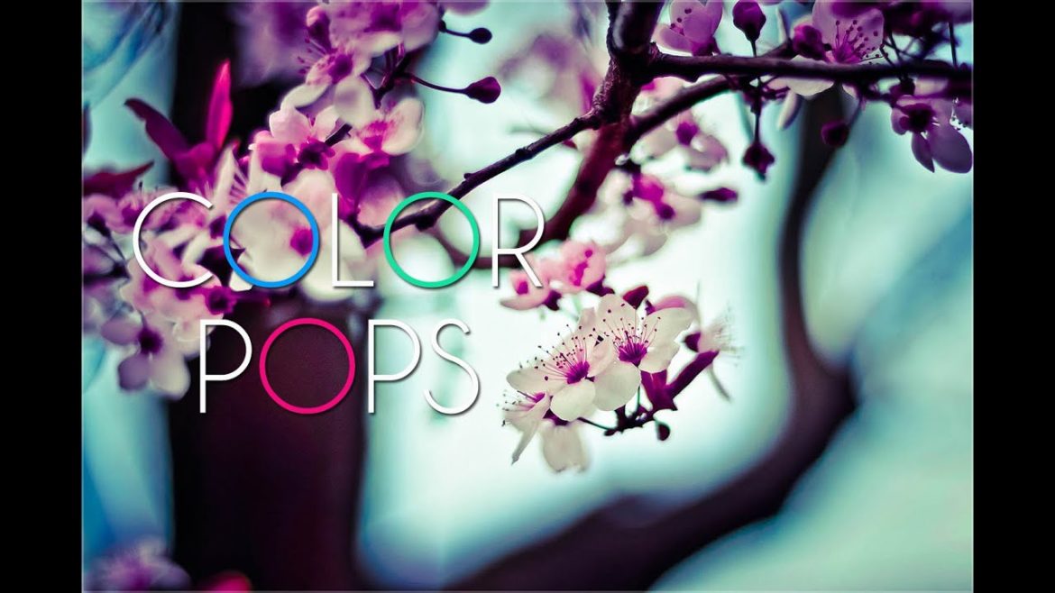 A Look Inside: 2015 Garden Trends Report - Color Pops