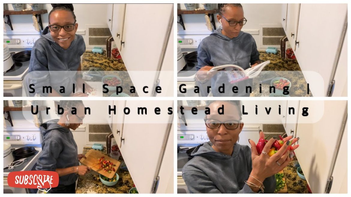 Urban Homestead Living | How Do You Preserve Your Peppers? | Covering The Gardens