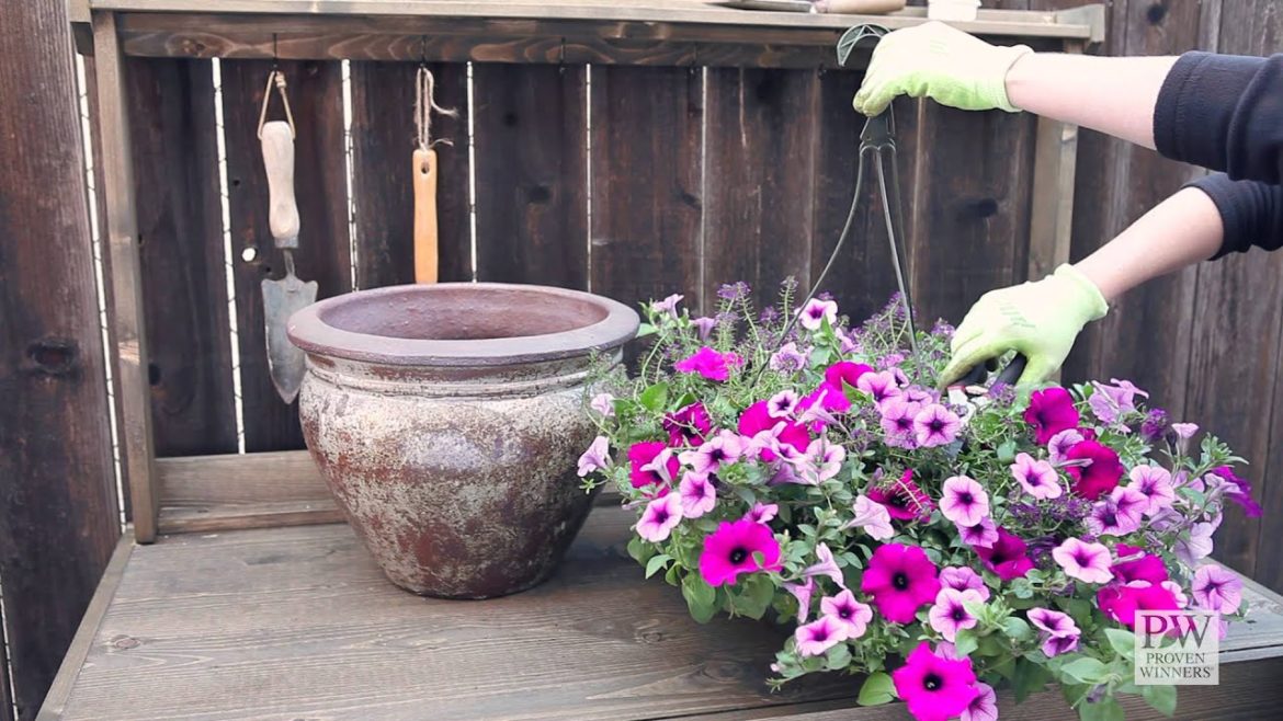 How-to Turn A Hanging Basket Into a Container Garden