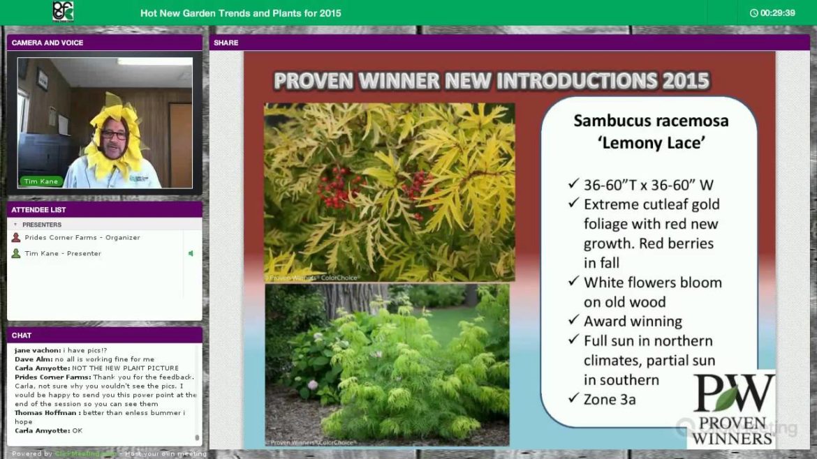 New Plant Webinar and Gardening Trends