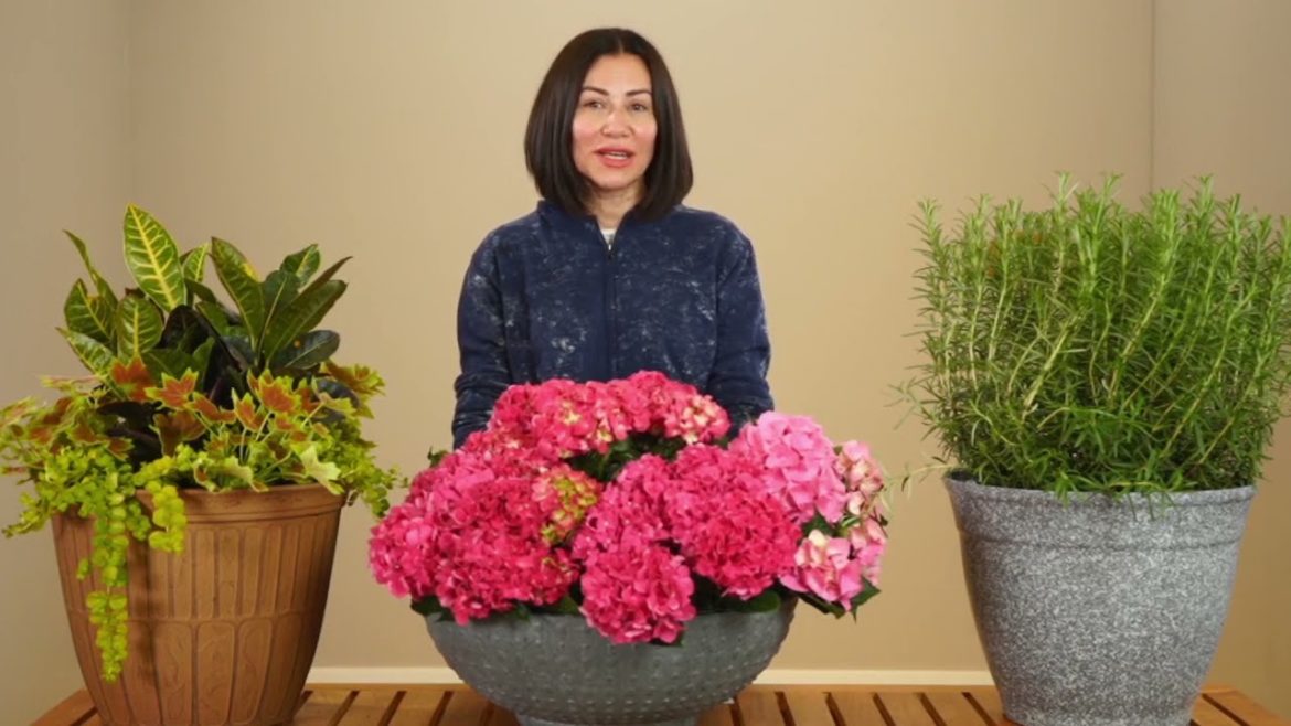 Spring Gardening Trends for 2022: Poetic Imperfection Spring Gardening Trends for 2022: Poetic Imperfection