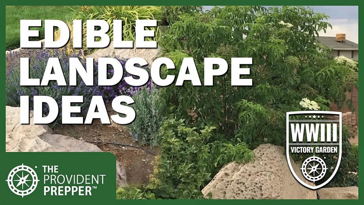 WWIII Victory Garden: High Desert Edible Landscape and Productive Garden Design
