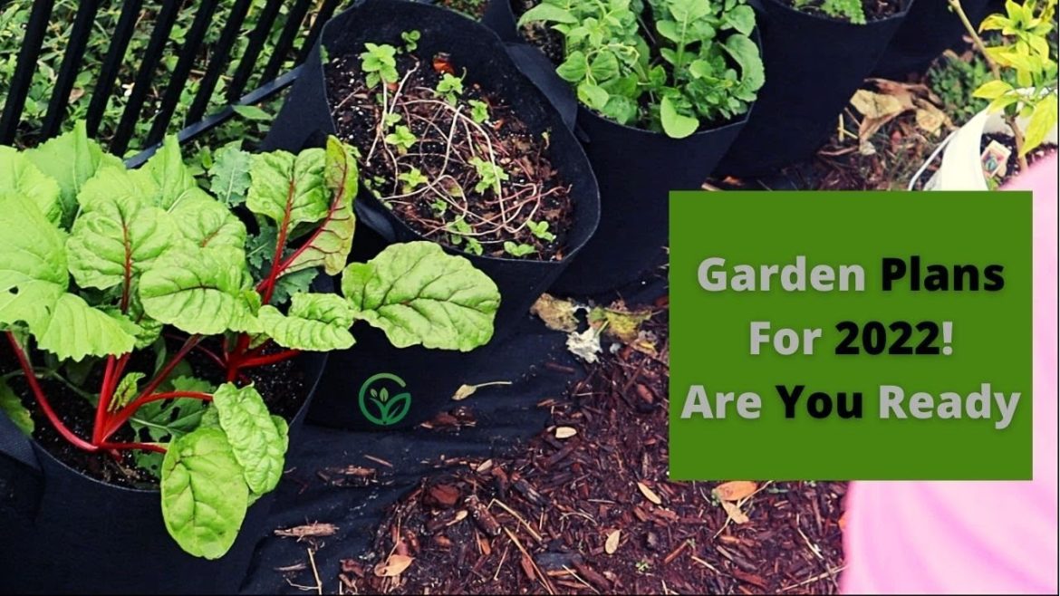 New Year Garden Plans! Gardening Plans for 2022!!