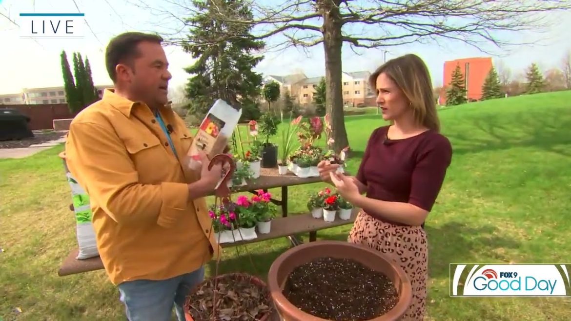 Tips for container gardening in Minnesota Tips for container gardening in Minnesota