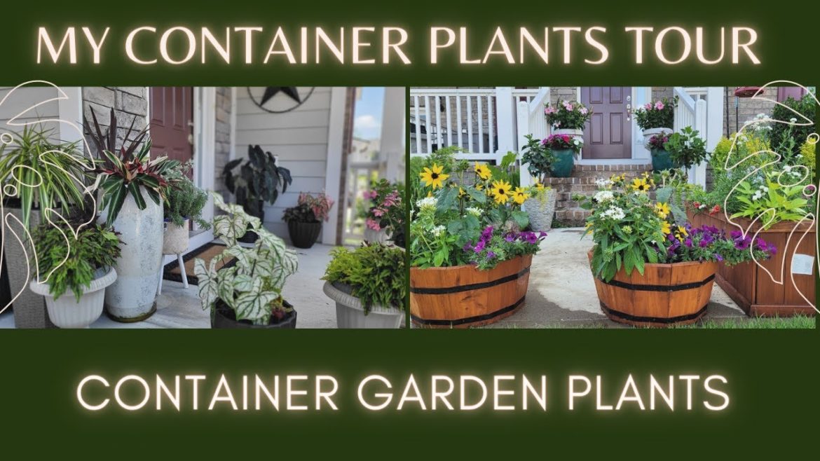 Container Garden Ideas | My Container Plants Tour | Colorful Plants for Container Gardening