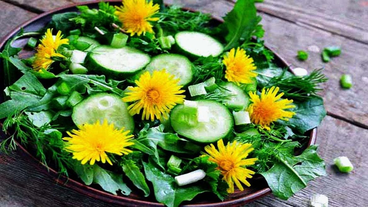 7 Edible Weeds That Are More Nutritious Than Vegetables – Gardening Tips 7 Edible Weeds That Are More Nutritious Than Vegetables - Gardening Tips