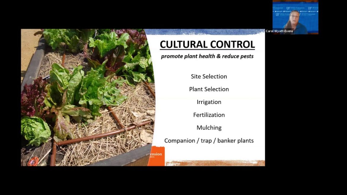 Edible Gardening: Sustainable Pest Control (webinar series)
