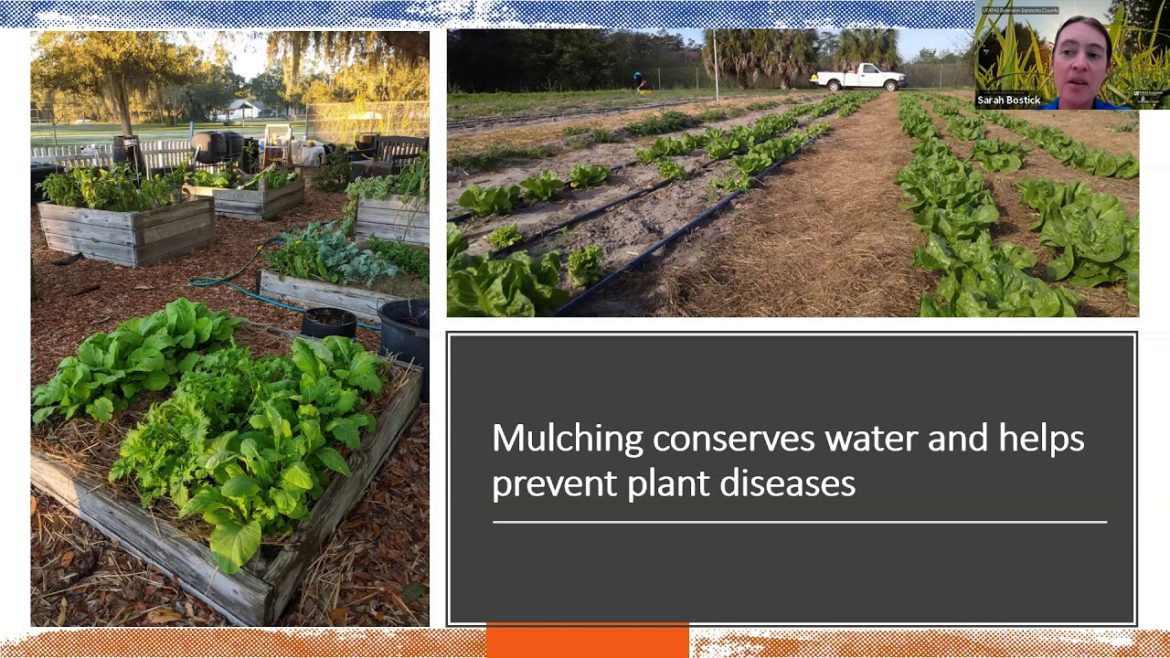 Edible Gardening: Mulching (webinar series)