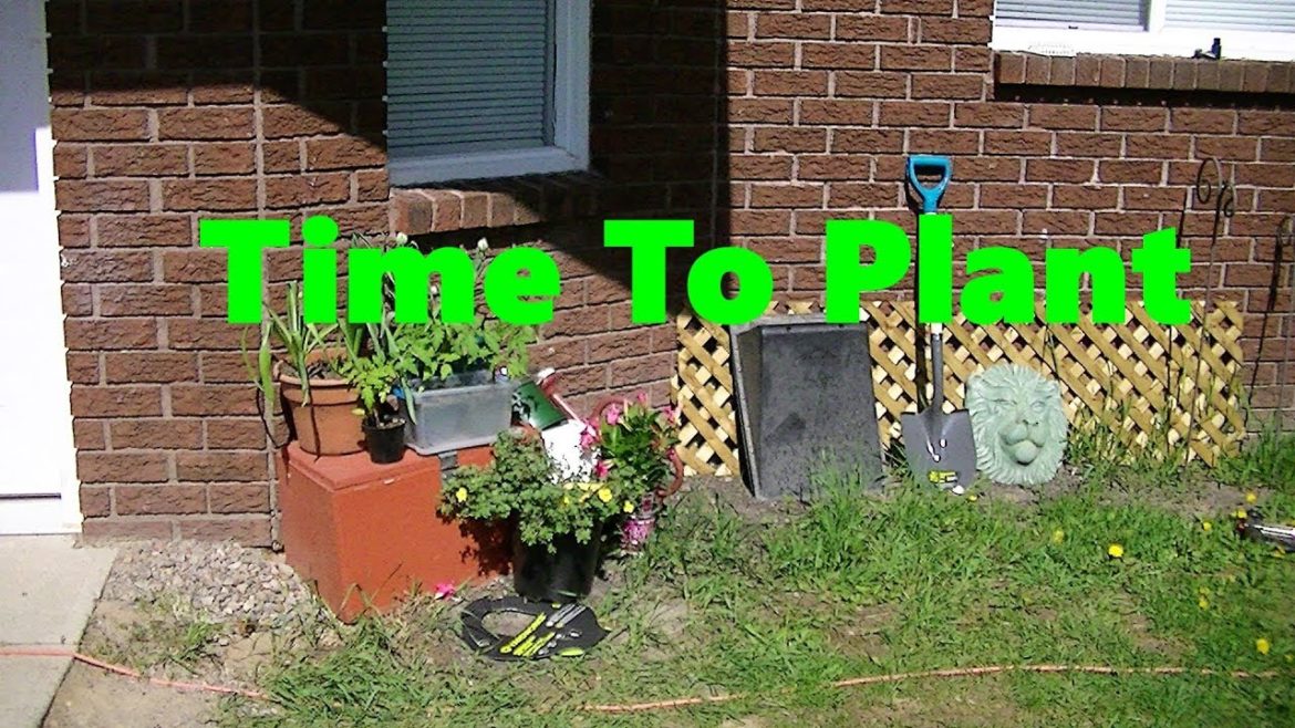 Spring Garden Plans for Perennial Flowers and Vegetable Planting💐🌷🌸🍅🌾🌱