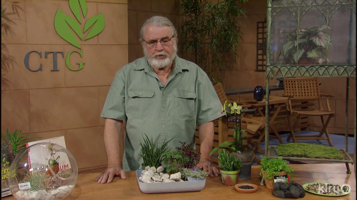 Terrarium Tips |John Dromgoole |Central Texas Gardener
