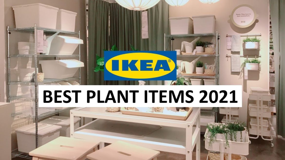 10 Best Houseplant and Gardening Items at IKEA 2021