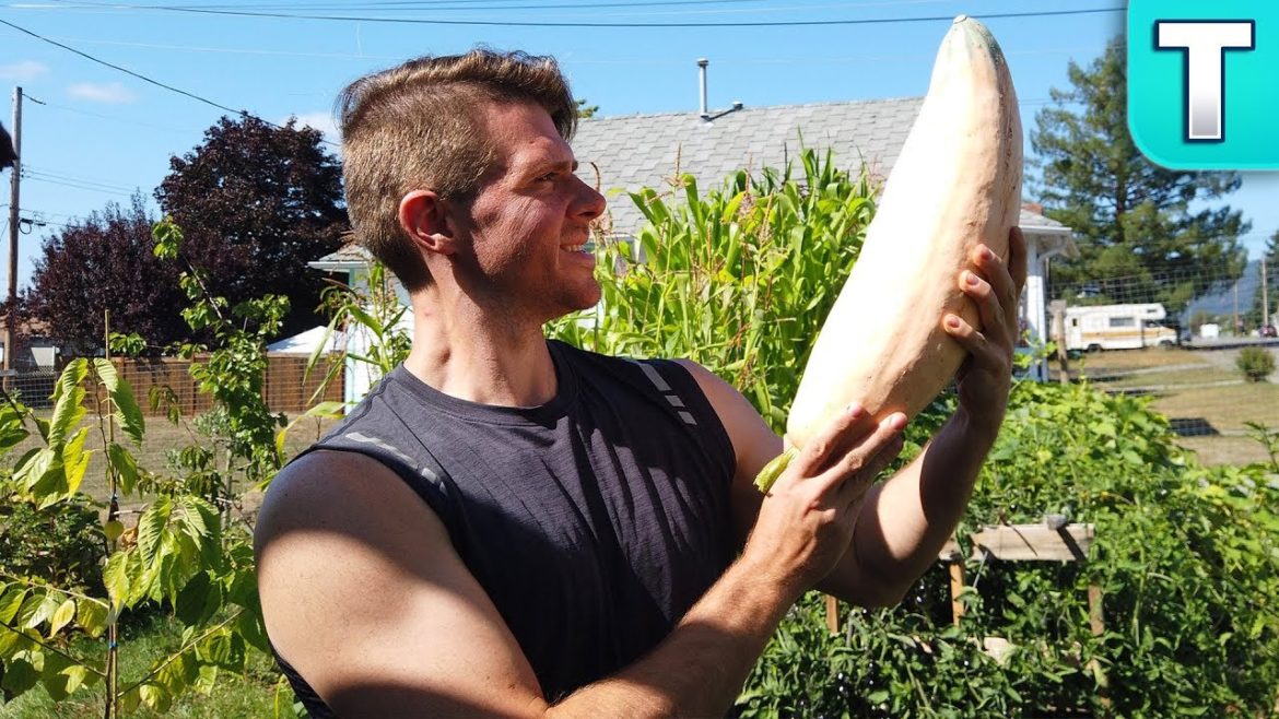 World's Most Diverse Urban Edible Garden – August 2019 World's Most Diverse Urban Edible Garden - August 2019