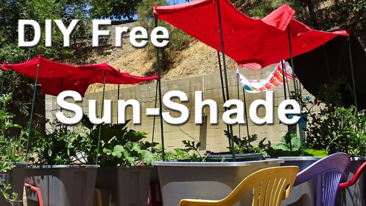 How to Protect Vegetable Plants EASY Sun Shade GARDEN TIPS Container Gardening and Raised Bed Cover