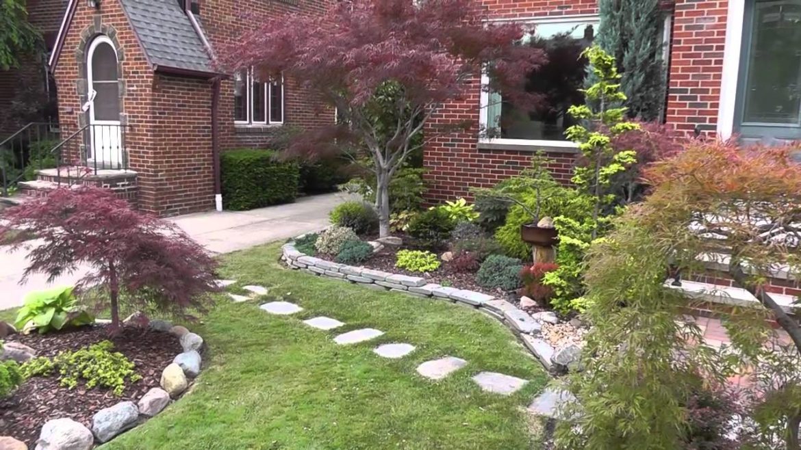 The Summer Garden - Japanese maple garden  (Front yard and Bonsai)