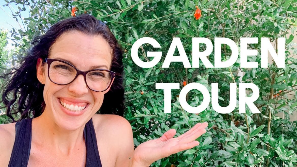 Southern California Backyard Garden Tour Southern California Backyard Garden Tour