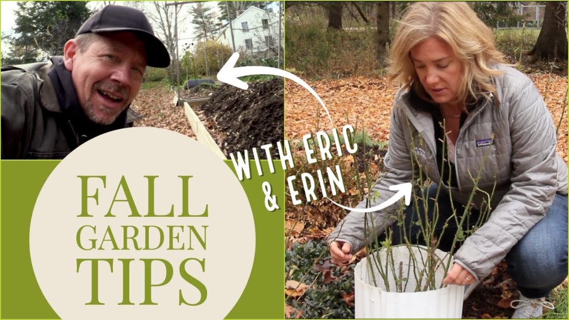 The best fall garden tips | GardenFork + The Impatient Gardener The best fall garden tips | GardenFork + The Impatient Gardener