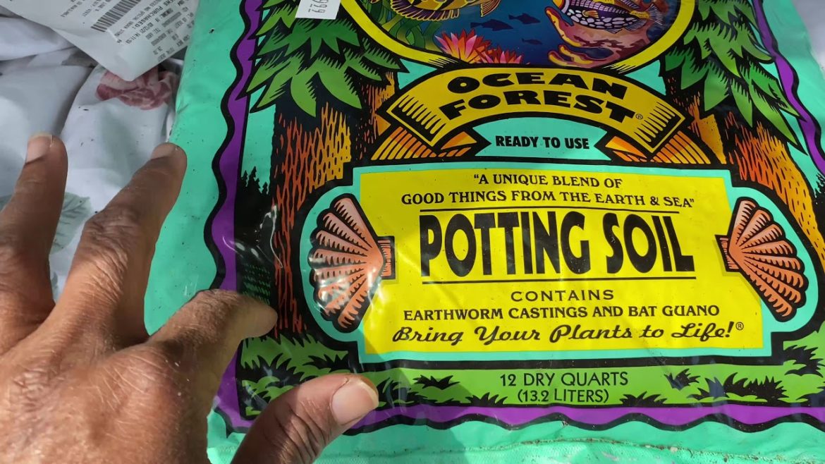 25% OFF GARDENING SUPPLIES at SC PLANT NURSERY#budgetgardening@Tommys Homestead Garden @Lady Lead