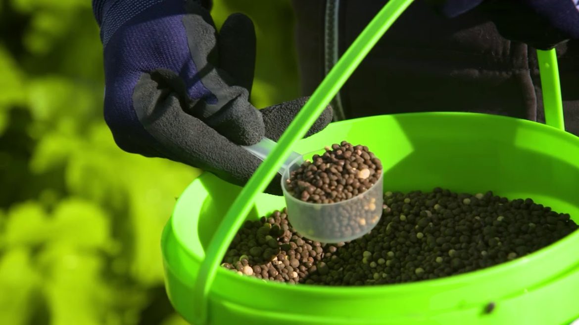 The Garden Gurus - Vegetable Gardening