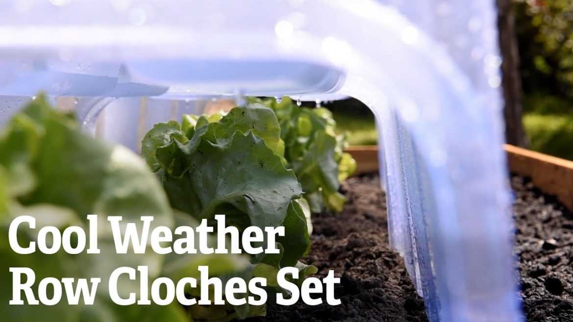 A Closer Look at the Cool Weather Row Cloches Set | Gardener's Supply