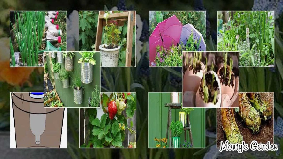 Recycled Container Gardening Ideas Recycled Container Gardening Ideas