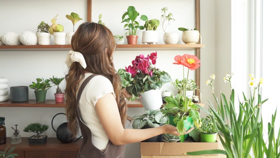 The Beginner's Guide to Starting a Container Garden | BEST Houseplants for Urban Gardening! The Beginner's Guide to Starting a Container Garden | BEST Houseplants for Urban Gardening!