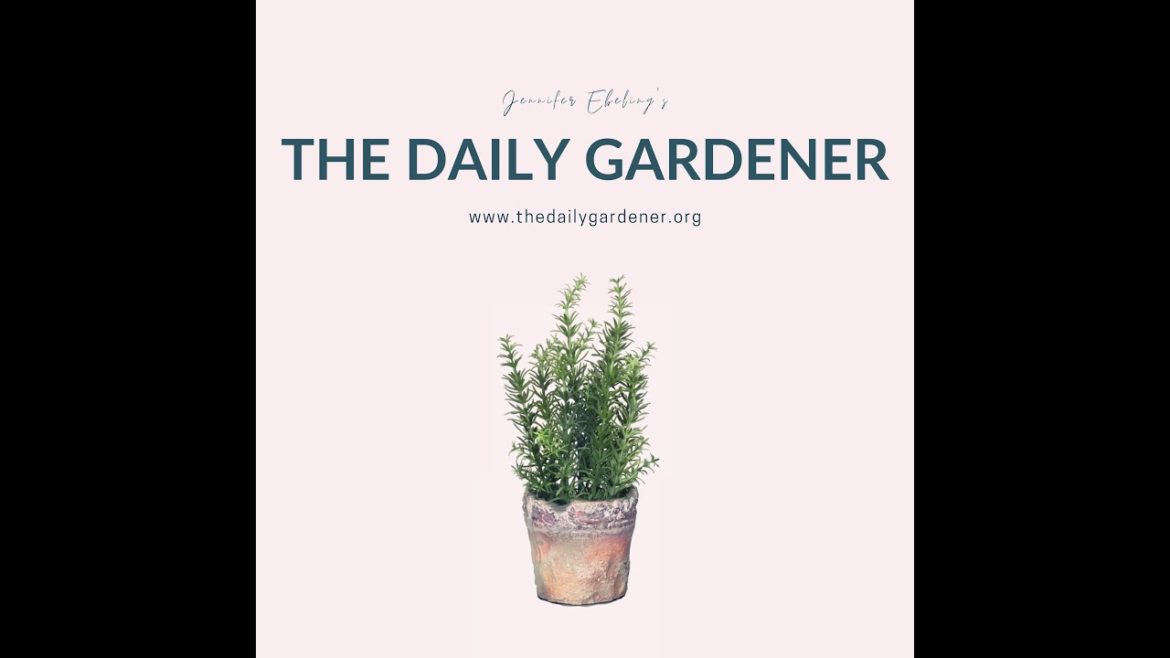 January 13, 2021 Gardening Trends for 2021, John Gilbert Baker, Joseph Francis Rock, Holly, and… January 13, 2021 Gardening Trends for 2021, John Gilbert Baker, Joseph Francis Rock, Holly, and...