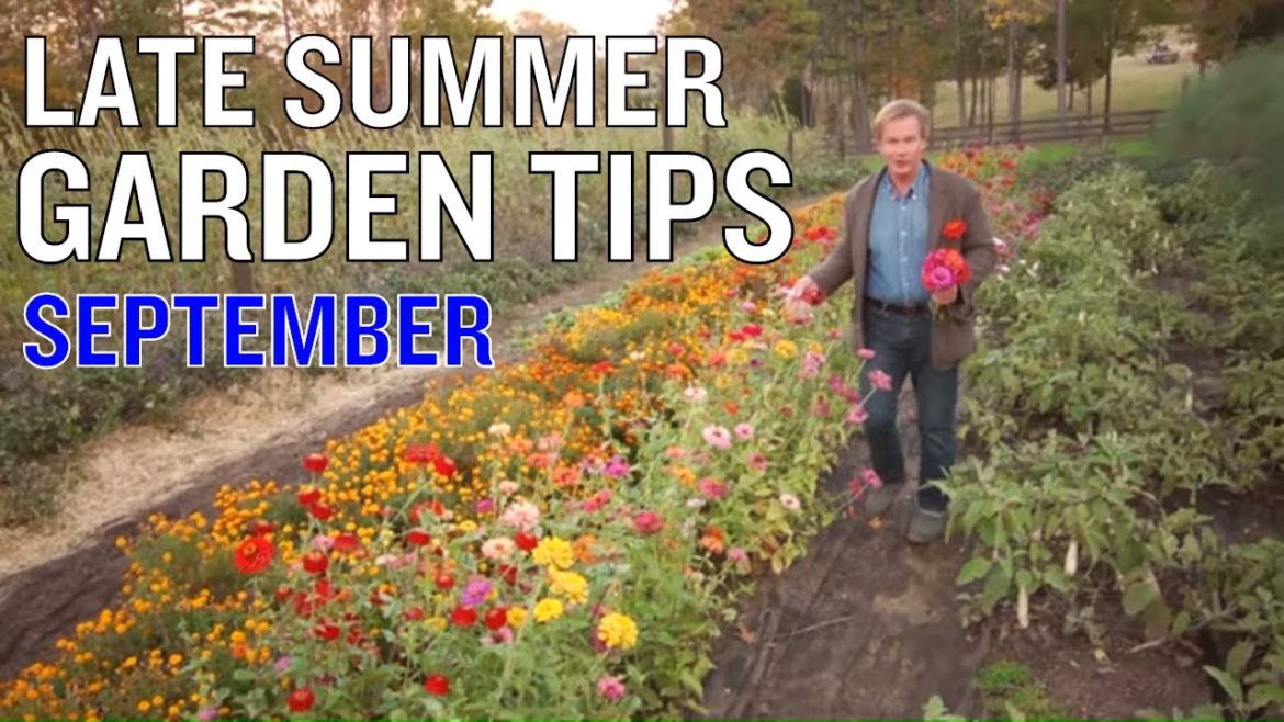 10 Late Summer Garden Tips & Projects | September: P. Allen Smith