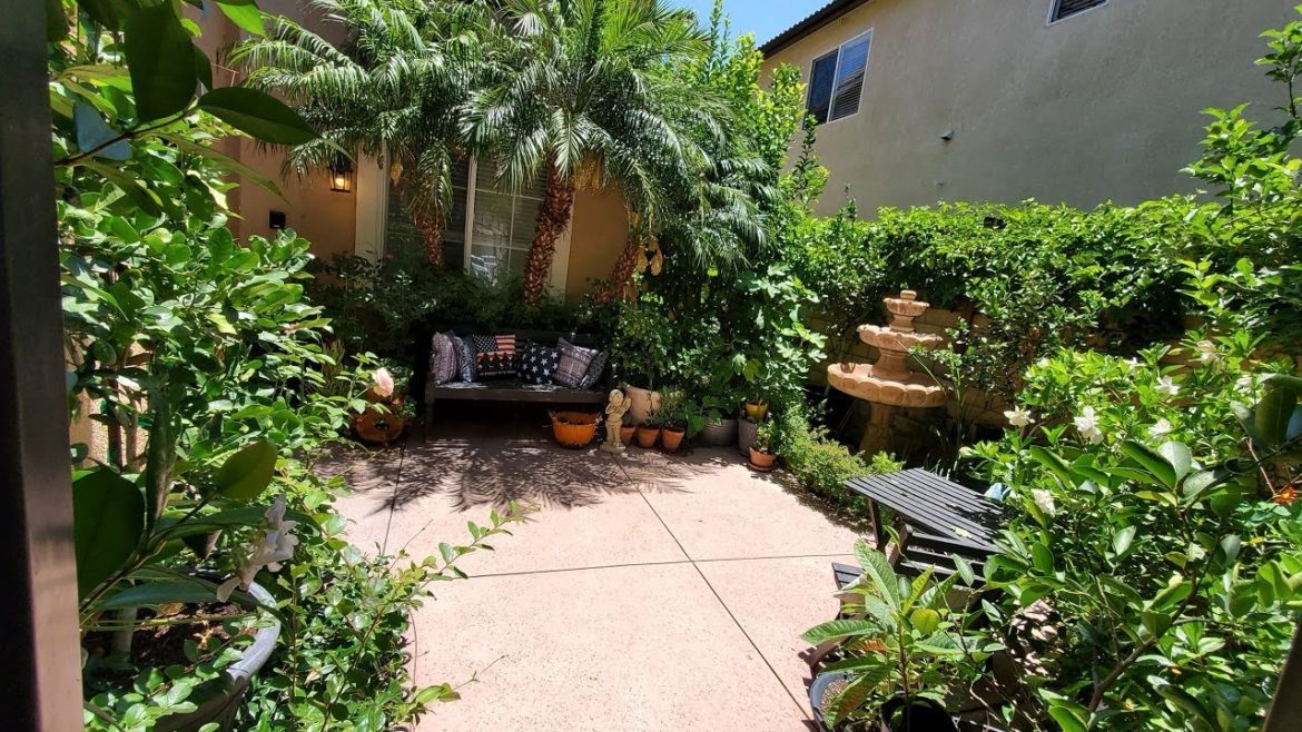 Urband Edible Landscape Front Yard Garden Tour | My Food Forest | Container Gardening | Spring 2020