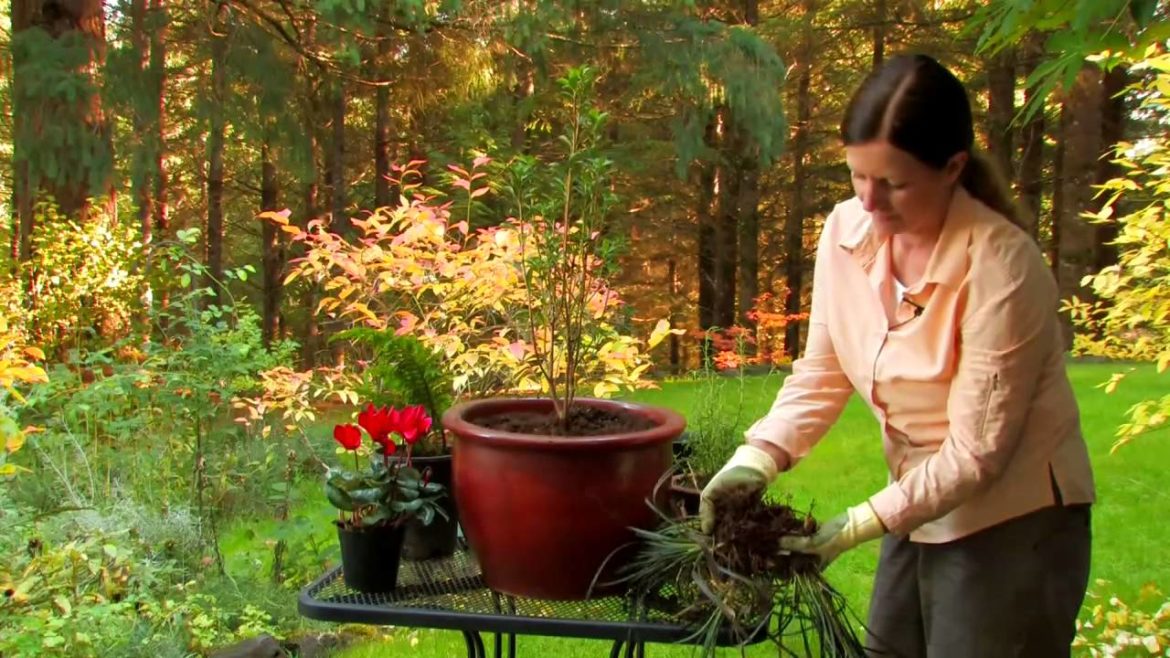 Year Round Container Gardening