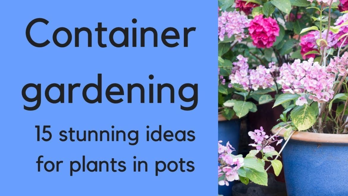 Container gardening - beautiful ideas for plants in pots