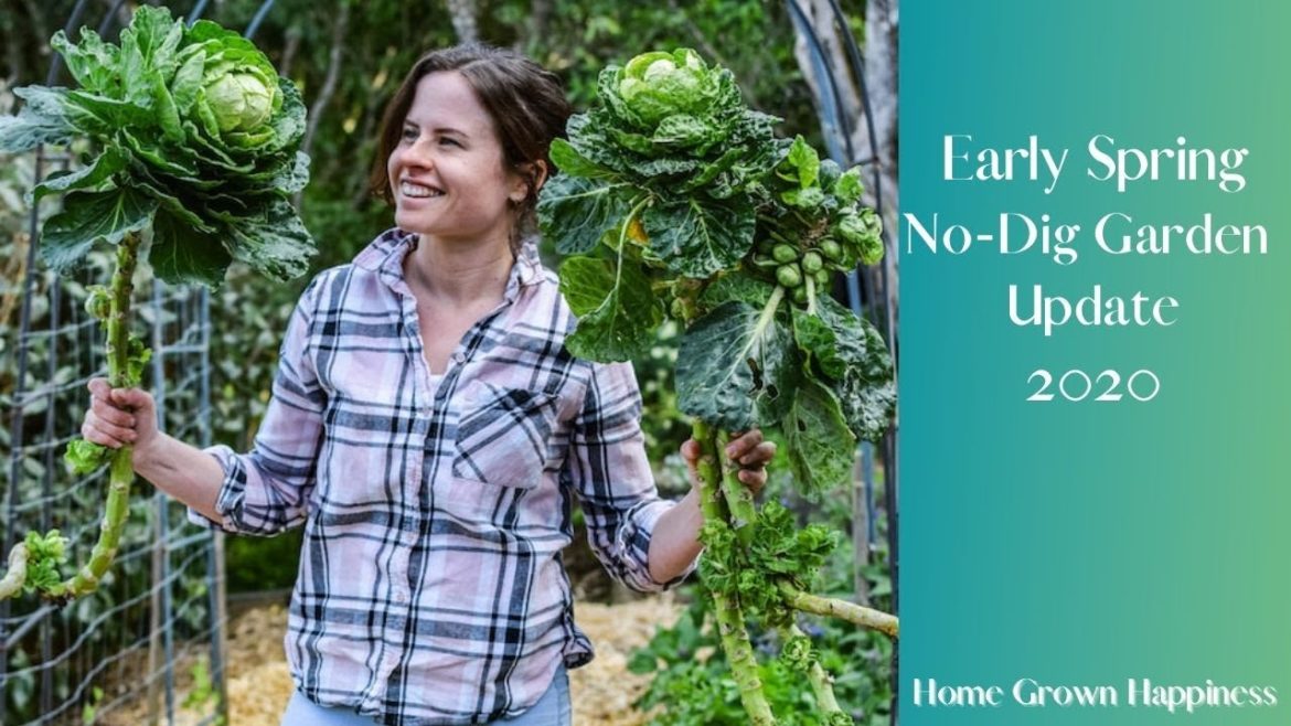 Early Spring No Dig Garden Update (NZ Edible Garden September 2020)