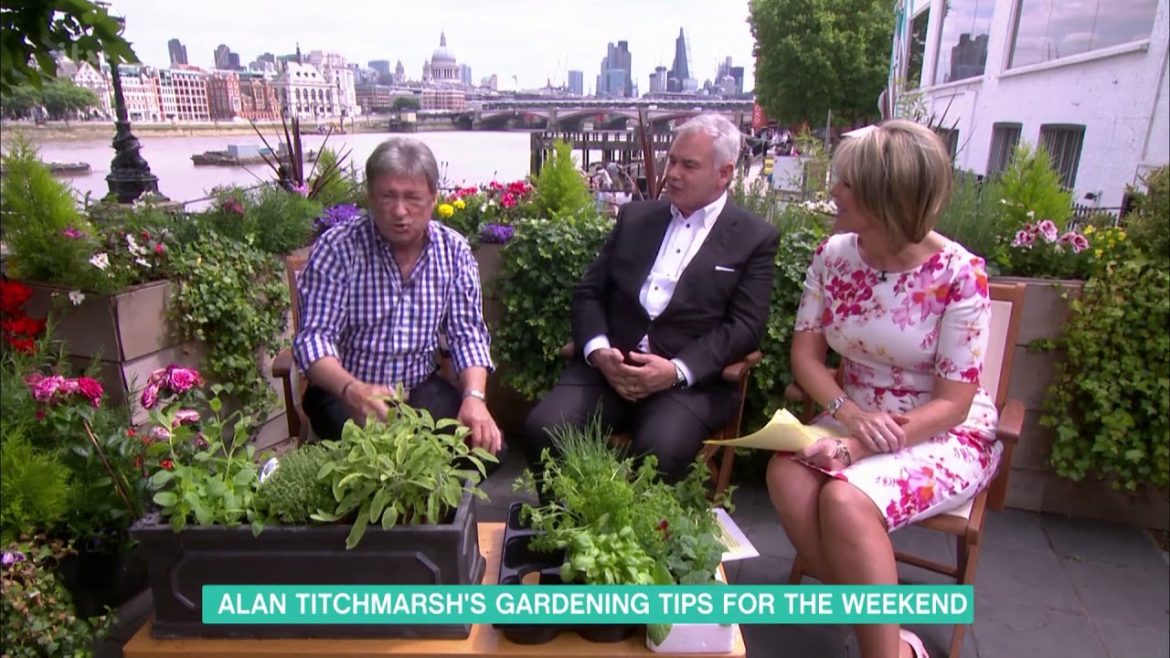 Alan Titchmarsh's Gardening Tips | This Morning